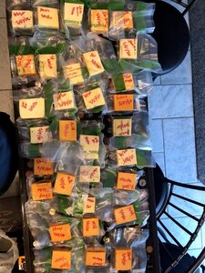 IMG_0861.jpg