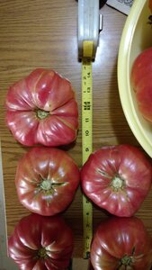 IMG_20160819_190227516.jpg