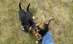 2012-06-16 15.42.31.jpg