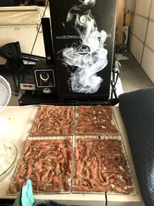 IMG_0912.jpg