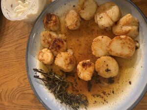 scallops.jpg