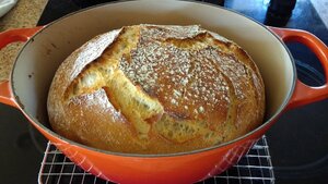 noknead1.jpg