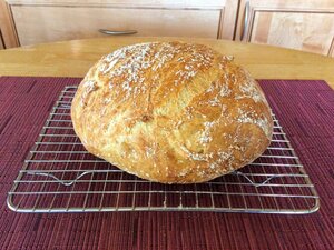 noknead2.jpg