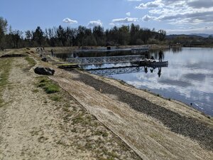 IMG_20200318_154611.jpg