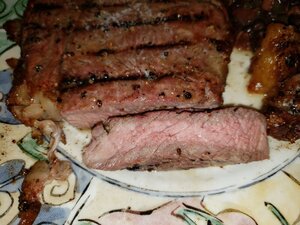 49761993888_6e11dafdbd_b.jpg