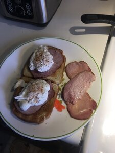 plated.jpg plated.jpg
