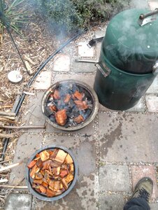 IMG_20200407_094301936.jpg