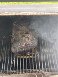 IMG_8655.JPG