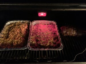 IMG_1194.JPG
