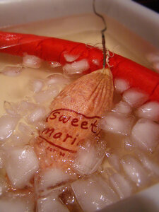 80b91262_icebath.jpg 80b91262_icebath.jpg