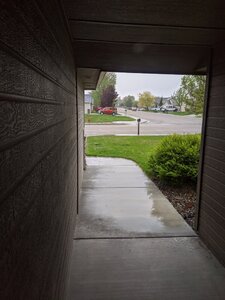 IMG_20200430_141649.jpg