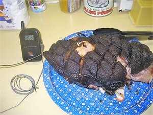 IMG_0870.JPG IMG_0870.JPG