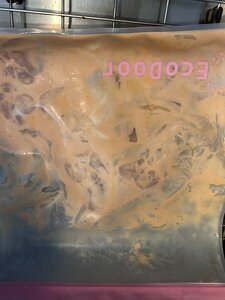 49859489562_5ca550d570_c.jpg 49859489562_5ca550d570_c.jpg