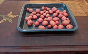 full?d=1572313027.jpg