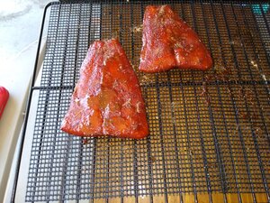 IMG_20200509_102821958.jpg