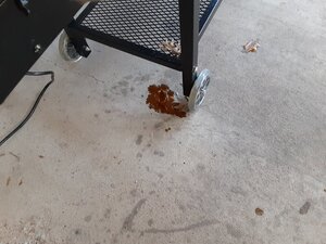 20200509_161124.jpg