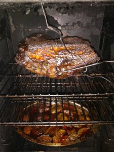 IMG_20200510_122140703.jpg