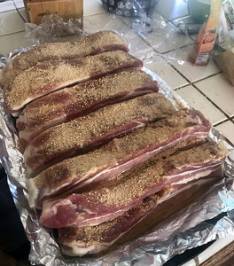 bacon_cure.jpg