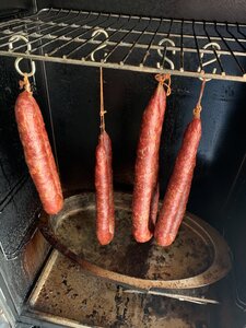IMG_4229.jpg
