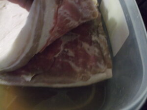 Bacon  2020-4-29.JPG