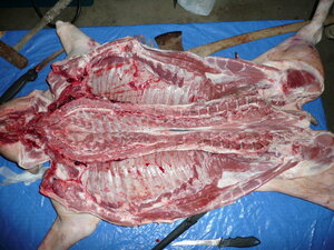 full?d=1507243730.jpg full?d=1507243730.jpg
