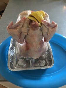 IMG_2458.jpg
