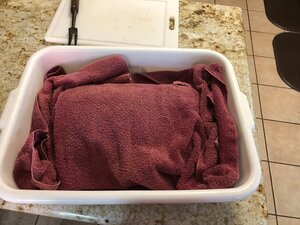 IMG_2281.jpg
