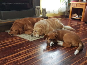 20180225_111945.jpg