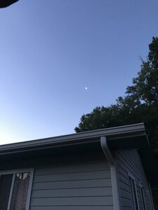 10243E5D-EA38-4BFD-A54E-76E727E58527.jpeg