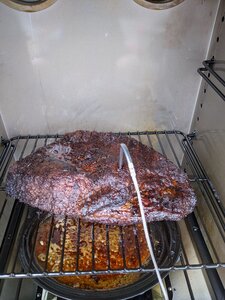 IMG_20200608_182807.jpg