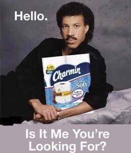 toilet-paper-11.jpg