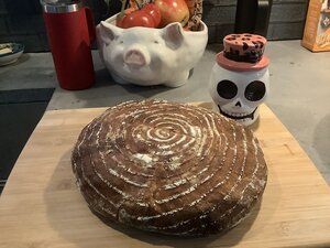 49662259067_b1311c95e1_c.jpg 49662259067_b1311c95e1_c.jpg