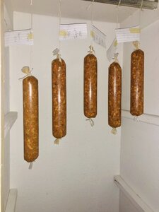 9368E130-0935-47AF-B848-3E3B85113839.jpeg