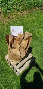 maple 20200529_123534.jpg