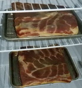 Bacon 5-2020 001.JPG