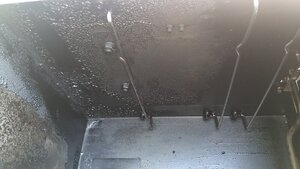 IMG_20200704_090747229.jpg