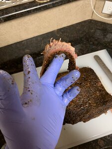F779B1CB-ED6F-4C5D-8B62-31E394188619.jpeg