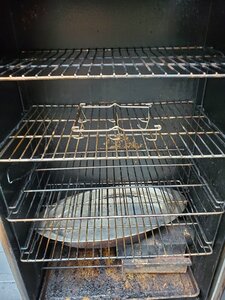 Sausage Hanging Smoking Meat Forums The Best Smoking Meat Forum On Earth