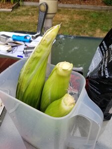 20200719_171859.jpg