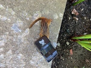 IMG_3416.jpg