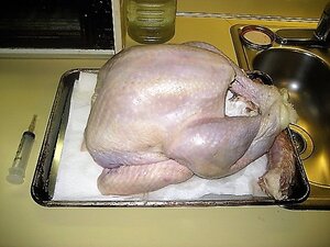 IMG_1015.JPG