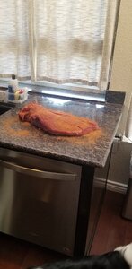 20200723_175519.jpg