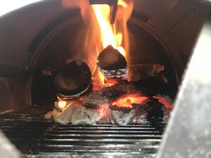 IMG_6413[1].JPG