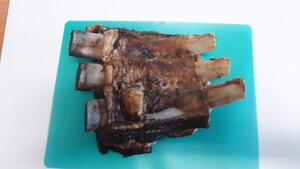 Bones.jpg Bones.jpg