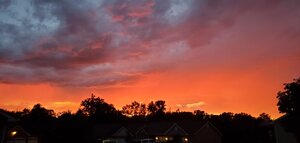 20200810_200729.jpg