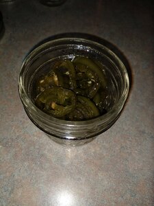 IMG_20200811_170655299.jpg