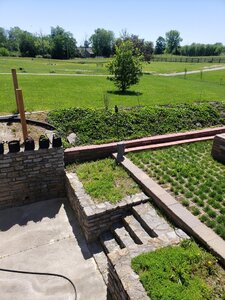 yard 1.jpg