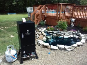 IMG_20200817_123143.jpg