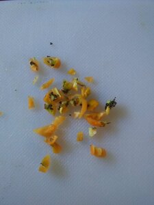 20200820_173145.jpg