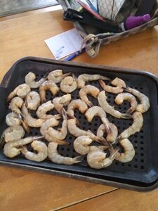 20200823_141440.jpg